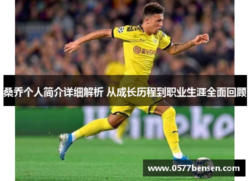桑乔个人简介详细解析 从成长历程到职业生涯全面回顾